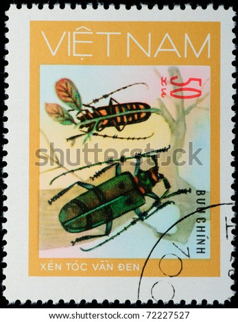 VIETNAM - CIRCA 1980s: A stamp printed in Vietnam shows animal insect long horn beetle bug, circa 1980s