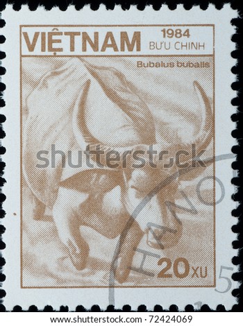 VIETNAM - CIRCA 1984: A stamp printed in Vietnam shows wild animal water buffalo, circa 1984
