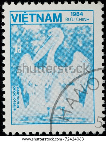 VIETNAM - CIRCA 1984: A stamp printed in Vietnam shows wild animal pelican bird, circa 1984