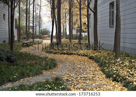 the beautiful home yard in the autumn sunshine.