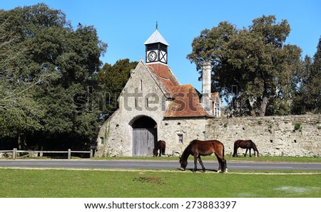 New Forest Ponies grazing by a medieval clock tower and wall
