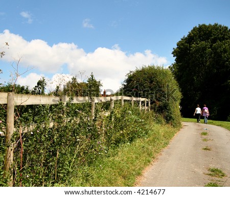 lady ramblers walking up an English Country Lane with wild flowers growing along the bank
