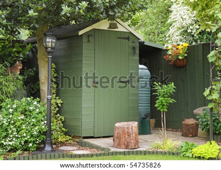 An English Back garden scene with Shed and Pet cat sitting amongst the foliage