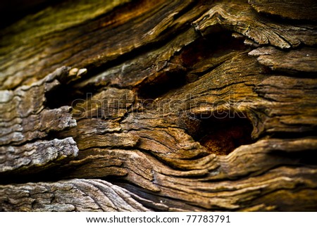 Closeup of an old shed made of wood, grainy, brown, splinter,selective focus