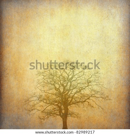 old grunge paper background with old tree shape and space