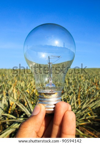 lightbulb in hand with clear nature conservation concept