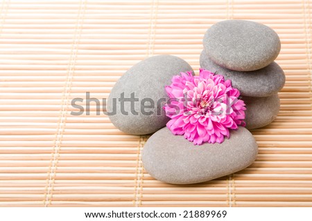balanced stones with red flower