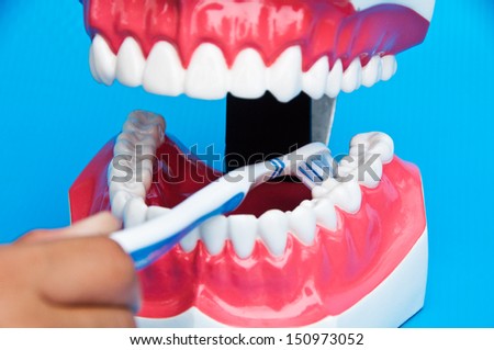 Showing how to brush teeth on a model on blue background