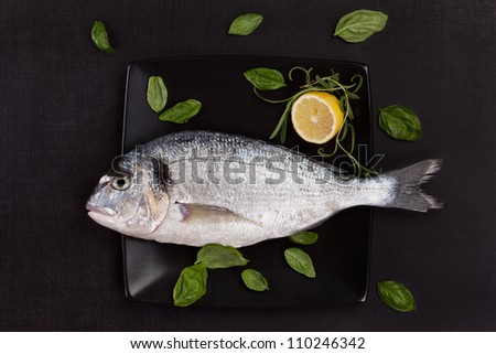 One fresh gilt head bream on black square plate with fresh basil leaves and lemon. Luxurious mediterranean seafood eating concept.