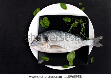 Luxurious seafood with fresh herbs in black and white. One fresh sea bream fish on black square plate on white round plate on black background. Luxurious mediterranean gastronomy concept.