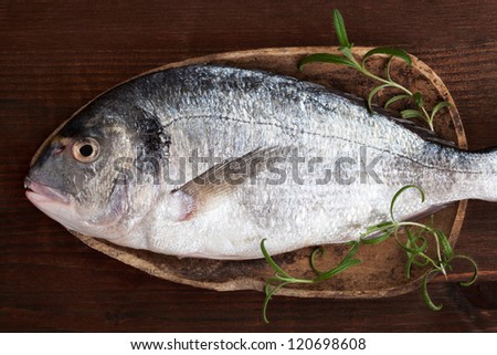 Fresh sea bream with fresh rosemary herbs on wooden spoon on wooden background, top view, rustic style. Culinary seafood eating.