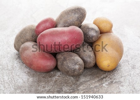 Various raw potatoes on natural stone background. Culinary vegetable eating. Purple, yellow and red potatoes.