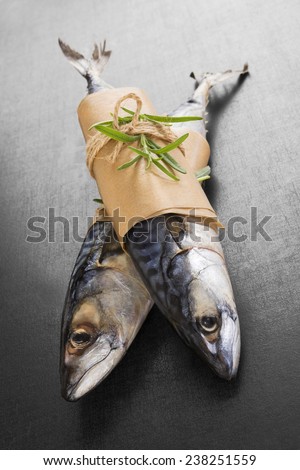 Two fresh mackerel fish isolated on black background. Culinary seafood eating.