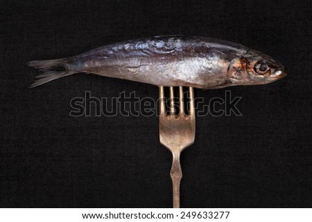 Fresh sardine fish on silver fork isolated on black background. Culinary seafood eating. Fish on fork.