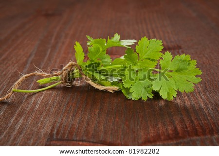 Fresh organic coriander bunch bound with brown twine on brown wooden background. Culinary herb concept.