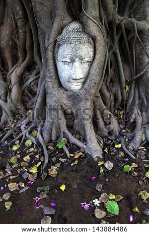 Ruins head of buddha on tree root, Thailand
