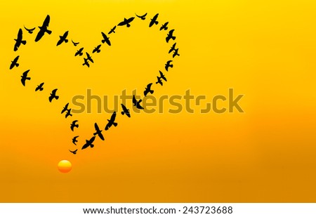 Heart shape made by flying birds in the sunset sky.