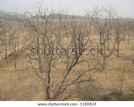Dry country landscape, China