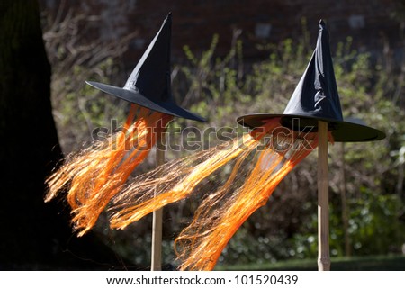 Witch hats in a meadow