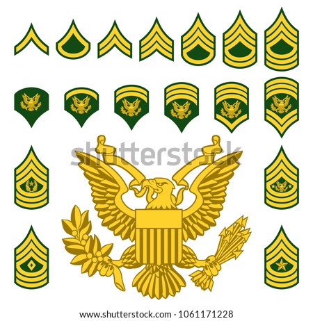 Set of army military American enlisted ranks insignia badges icons