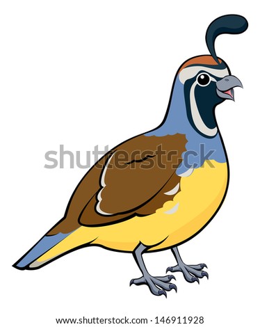 Quail Vectors Images Graphic Art Designs Files In Editable Ai Eps Svg Format For Free And Easy Download Unlimit