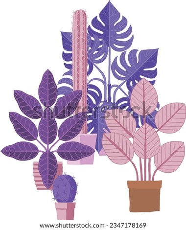House plants or houseplants in pots stylised cartoon illustration
