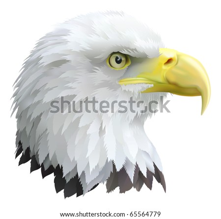 Illustration Of A Eagles Head In Profile. - 65564779 : Shutterstock