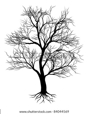 A Hand Drawn Old Tree Silhouette Illustration - 84044569 : Shutterstock