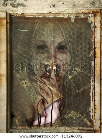 Creepy Vampire like Woman with bloody hands and mouth behind a rusted broken window