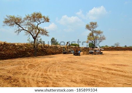 PAYAKKAPHUMPHISAI, MAHASARAKHAM - APRIL 7 : Eucalyptus trees are collected for paper industry on April 7, 2014 in Payakkaphumphisai, Mahasarakham, Thailand.