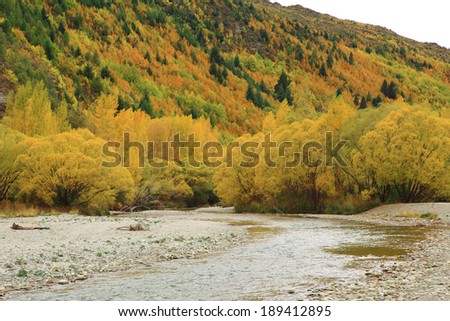Autumn background in the Arrow town, New zealand. (one famous place from cinema)