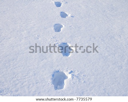 Footsteps in deep snow on sunny winter day