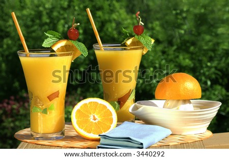 Glass\'s Of Fresh Squeezed Organic Orange Juice - Juicer And Oranges With Natural Outdoor Background