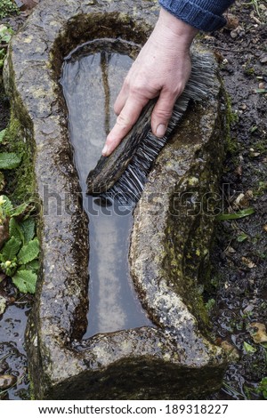 CLEANING AND REFILLING AN ORNAMENTAL BIRD BATH - USE A SCRUBBING BRUSH AND WATER TO GET RID OF DETRITUS