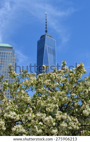 New York City, USA - May 3, 2015: Spring in bloom near the newly opened World Trade Center Tower One at Ground Zero in New York City.