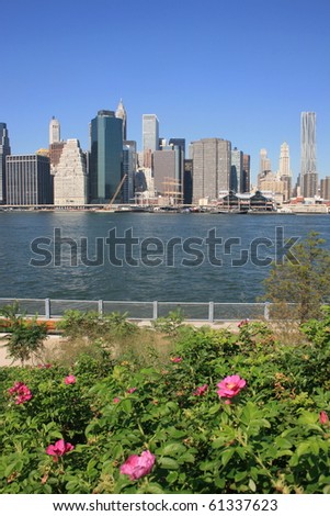 Flowers in New York\'s Brooklyn Bridge Park.  Lower Manhattan and East River in the background.
