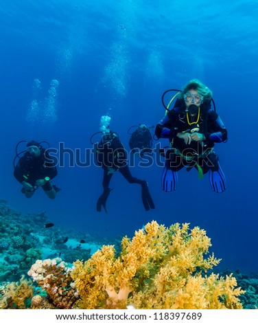 Group of SCUBA Divers over green soft coral on a coral reef
