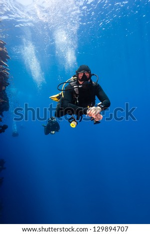 A group of SCUBA divers swim along a vertical wall in blue water