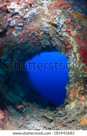 Exit from a deep underwater cave