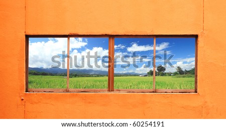rice farm behind a window