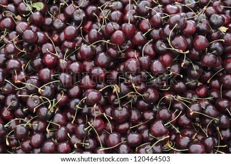 Background of dark red cherry stone fruits with stems still attached loose in a bin for sale at an outside farmers\' market.