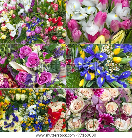 six different nice flower bouquet set background