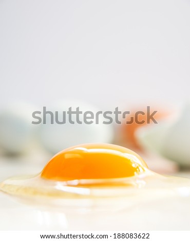 Open Fresh Light Green Egg with Dark Orange Yolk From Free Range Chicken