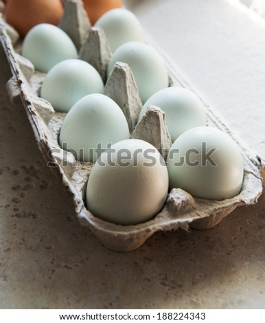 Mix of Fresh Brown and Light Green Eggs in Paper Carton in Natural Light