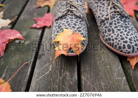 Animal Print Oxford Shoes on Wooden Patio with Falling  Leaves