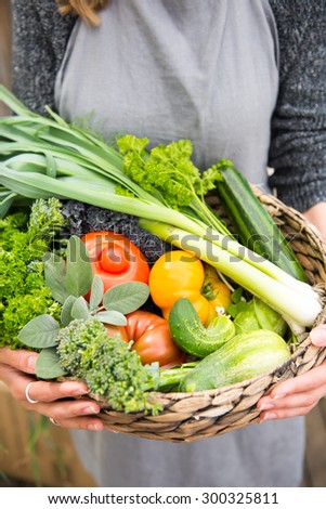 Assortment of Fresh Vegetables and Fruits in Basket