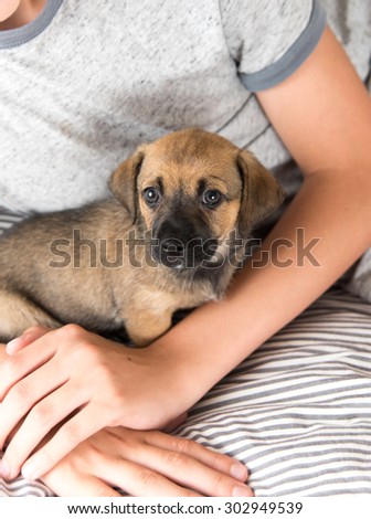 Child Protecting Brown Puppy with Floppy Ears