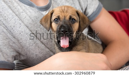Child Protecting Brown Puppy with Floppy Ears