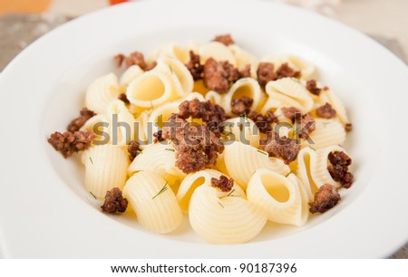 Pasta and Ground Beef with Shallots for Lunch or Dinner