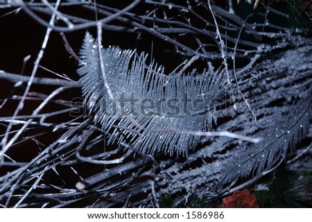 Frozen feather and branches